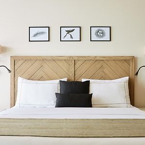 Villa suite premium